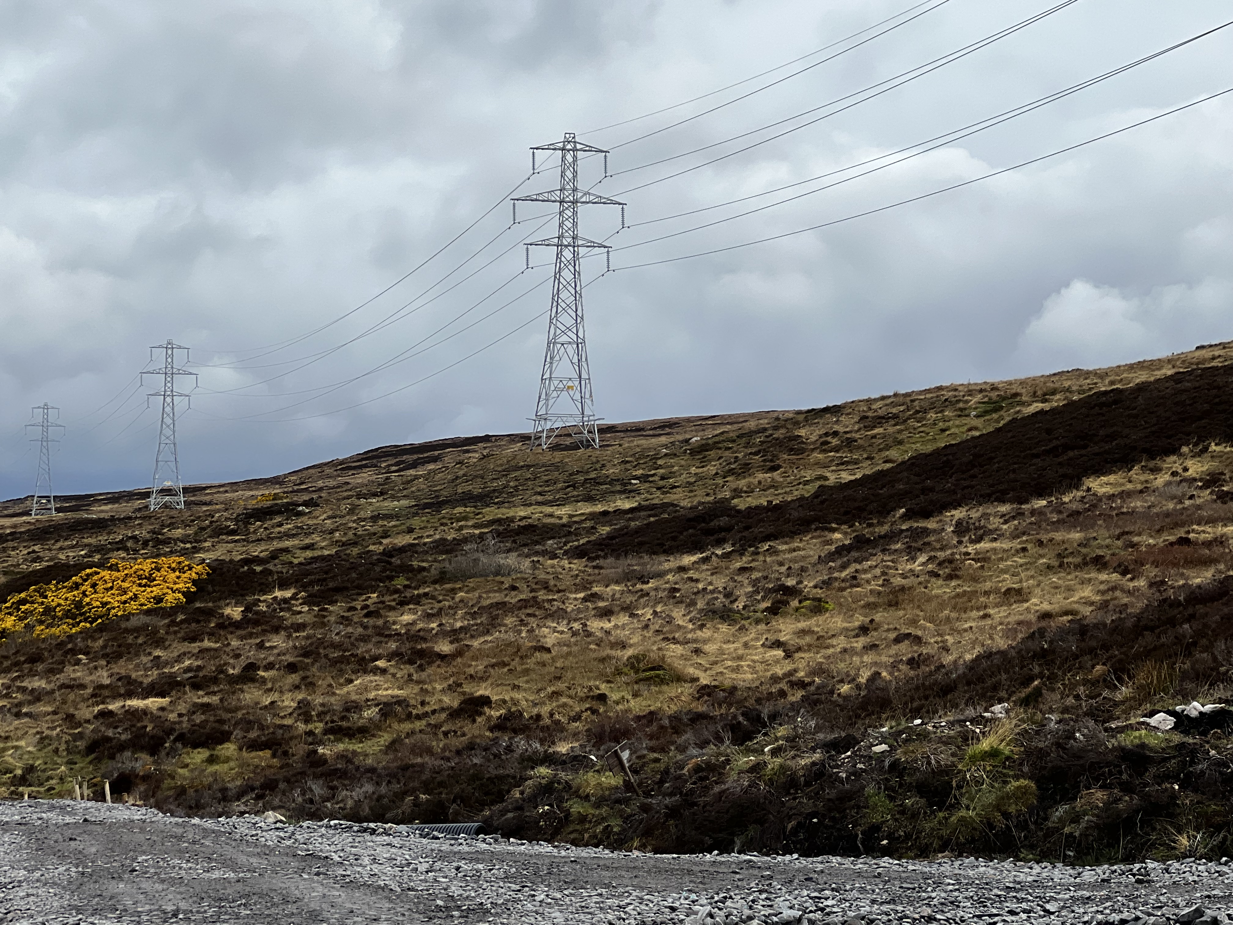 Heather reinstatement on tower pad site