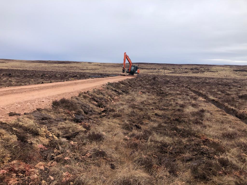 Road building with turf edging